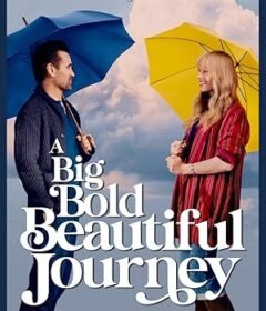فيلم A Big Bold Beautiful Journey 2025 مترجم