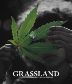 فيلم Grassland 2024 مترجم