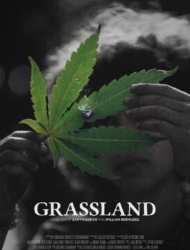 فيلم Grassland 2024 مترجم فيلم Grassland 2024 مترجم