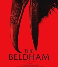 فيلم The Beldham 2024 مترجم
