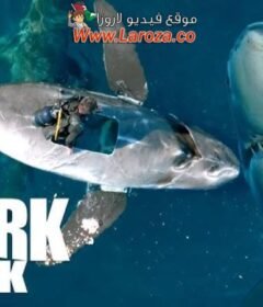 فيلم 6000lb shark 2024 مترجم HD اون لاين