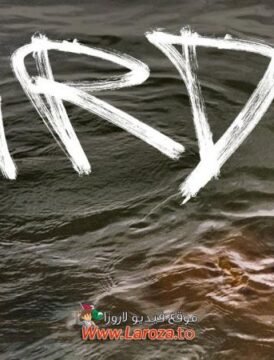 فيلم Bird 2024 مترجم HD اون لاين فيلم Bird 2024 مترجم HD اون لاين