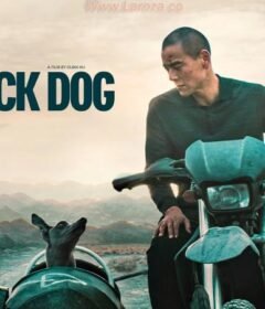 فيلم Black Dog 2024 مترجم HD اون لاين