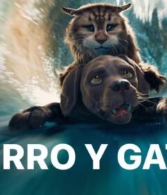 فيلم Cat and Dog 2024 مترجم HD اون لاين