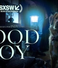 فيلم Good Boy 2025 مترجم HD اون لاين