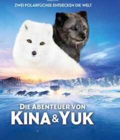 فيلم Kina & Yuk 2023 مترجم HD اون لاين
