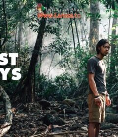 فيلم Last Days 2025 مترجم HD اون لاين