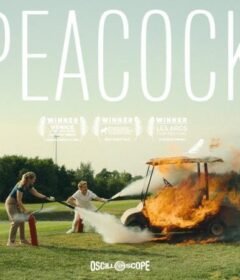 فيلم Peacock 2024 مترجم HD اون لاين