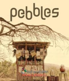فيلم Pebbles 2021 مترجم HD اون لاين