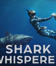 فيلم Shark Whisperer 2025 مترجم HD اون لاين