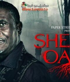 فيلم Shelby Oaks 2024 مترجم HD اون لاين