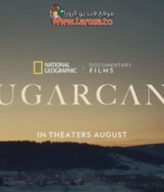 فيلم Sugarcane 2025 مترجم HD اون لاين