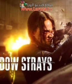 فيلم The Shadow Strays 2024 مترجم HD اون لاين