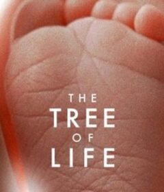 فيلم The Tree of Life 2011 مترجم HD اون لاين