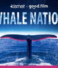 فيلم Whale Nation 2023 مترجم HD اون لاين