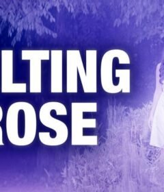 فيلم Wilting Rose 2025 مترجم HD اون لاين
