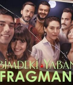 فيلم غريب في جيبي 2018 مترجم HD اون لاين