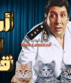 مشاهدة فيلم أسد وأربع قطط 2007 كامل اون لاين HD