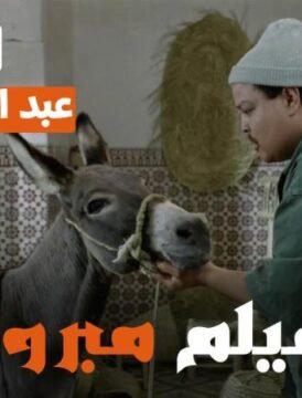 مشاهدة فيلم مبروك كامل اون لاين HD مشاهدة فيلم مبروك كامل اون لاين HD